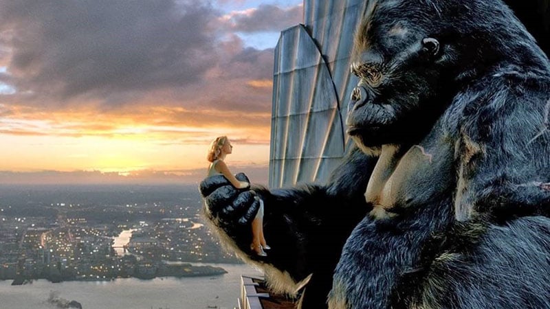 “Profit is King, but Cash is King Kong!”